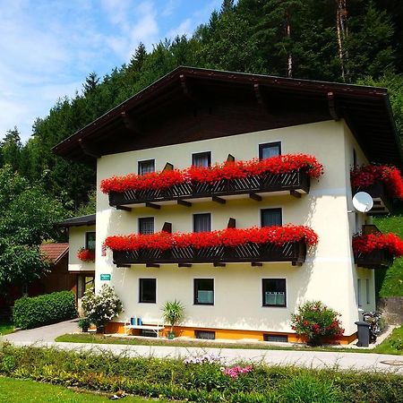 Bed and Breakfast Haus Peter Латшах-обер-дем-Факер-Зе Экстерьер фото